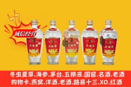 定结县回收老五粮液