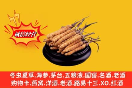 定结县名酒回收冬虫夏草.jpg